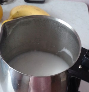 jak zrobić mleko roślinne w Soyabelli